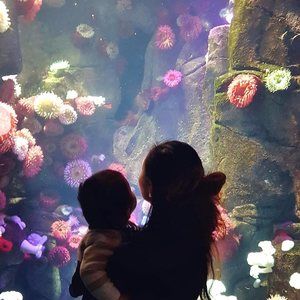 Meet your Posher, Janice